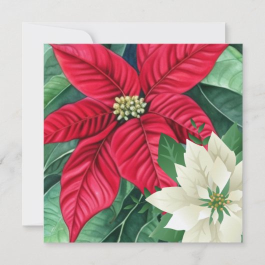 Poinsettia Grußkarte Dankeskarte (Vorderseite)