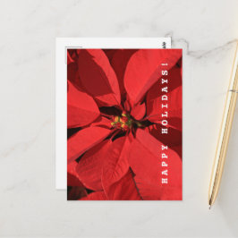 Poinsettia Happy Holidays Postkarte