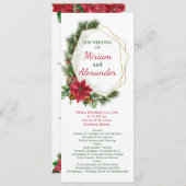 Poinsettia, heilig, Kiefernweihnachtszeit Programm (Vorne/Hinten)