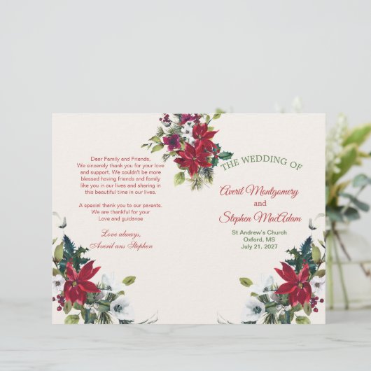 Poinsettia, Heilige, Kiefernweihnachtsprogramm (Stehend Vorderseite)