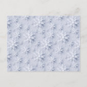 Poinsettia Holiday Christmas Open House Einladung Postkarte (Rückseite)