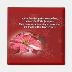 Poinsettia in Rot und Weiß Magnet