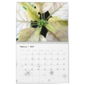 Poinsettia-Kalender Kalender (Feb 2027)