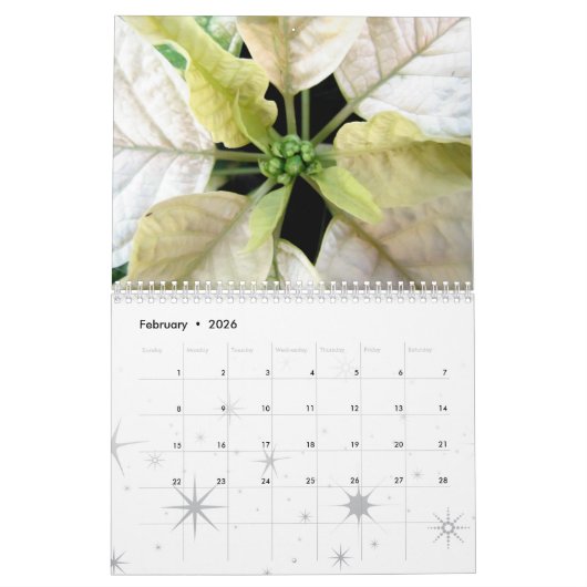 Poinsettia-Kalender Kalender (Feb 2026)