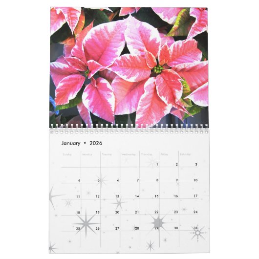 Poinsettia-Kalender Kalender (Jan 2026)