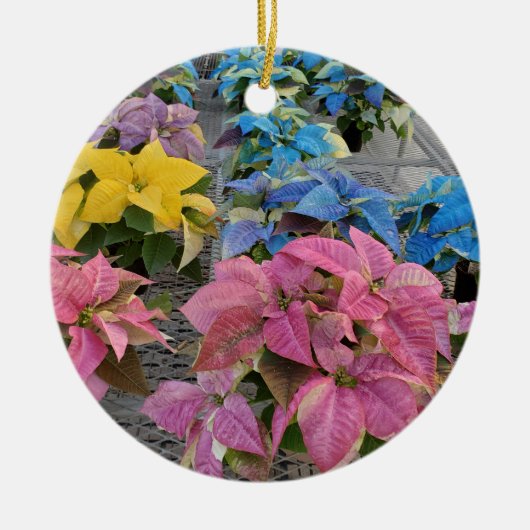 Poinsettia Keramik Ornament (Vorne)