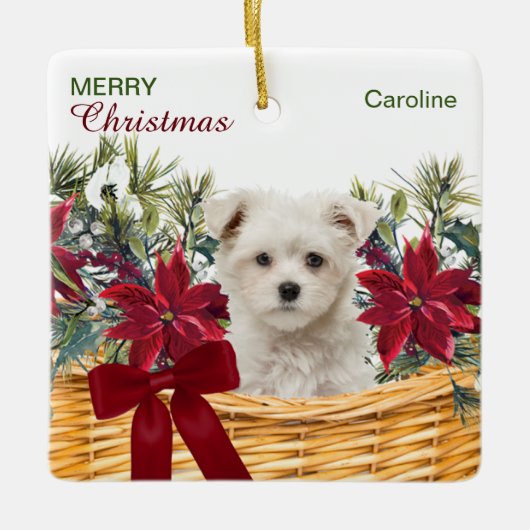 Poinsettia Maltese Puppy Christmas Basket Keramikornament (Vorderseite)