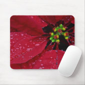 Poinsettia Mousepad (Mit Mouse)