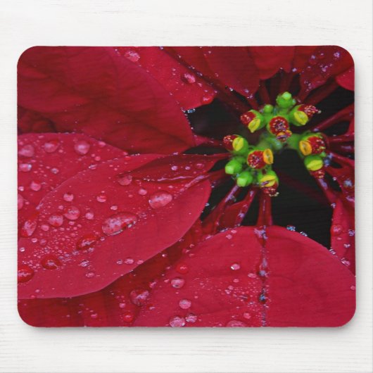 Poinsettia Mousepad (Vorne)