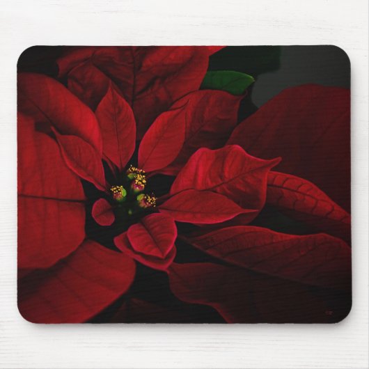 Poinsettia Mousepad (Vorne)