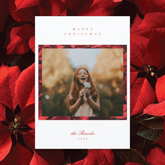 Poinsettia Petals Frame Foto Weihnachtskarte Feiertagskarte