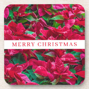 Poinsettia Pflanze sehen Untersetzer