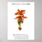 Poinsettia Poster (Vorne)