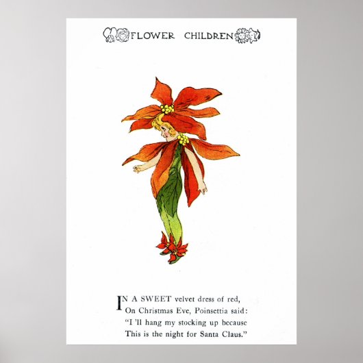 Poinsettia Poster (Vorne)