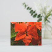Poinsettia Postkarte (Stehend Vorderseite)