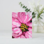 Poinsettia Postkarte (Stehend Vorderseite)