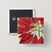 Poinsettia Pulcherrima (Farbelitho) Button (Vorne & Hinten)
