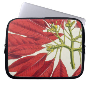 Poinsettia Pulcherrima (Farbelitho) Laptopschutzhülle