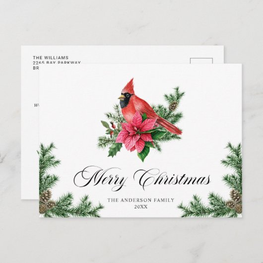 Poinsettia Roter Kardinal Weihnachtsfeiertag Postkarte (Vorne/Hinten)