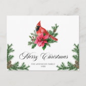 Poinsettia Roter Kardinal Weihnachtsfeiertag Postkarte (Vorderseite)