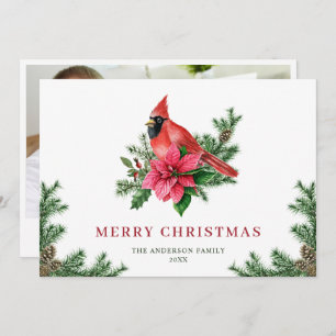Poinsettia Roter Kardinal Weihnachtsgrüße FOTO Feiertagskarte