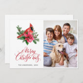 Poinsettia Roter Kardinal Weihnachtsgrüße FOTO Feiertagskarte (Vorne/Hinten)