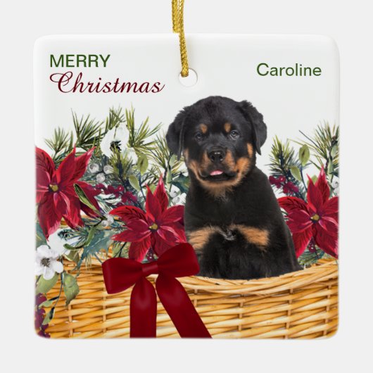 Poinsettia Rottweiler Welpe Weihnachtskorb Keramikornament (Vorderseite)