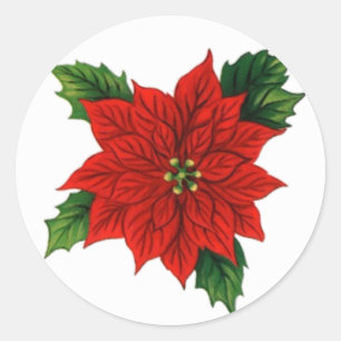 Poinsettia Runder Aufkleber