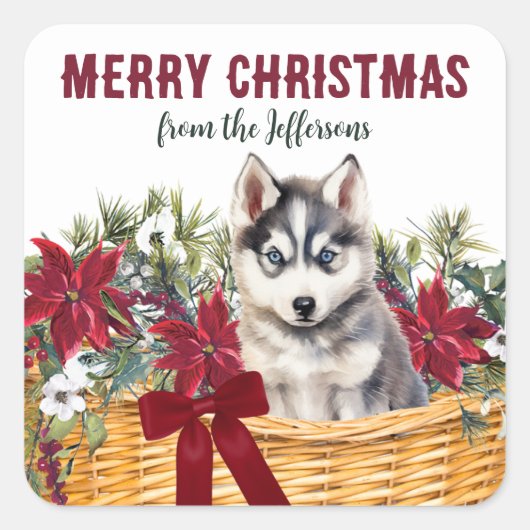 Poinsettia Siberian Husky Weihnachtskorb Quadratischer Aufkleber (Vorderseite)