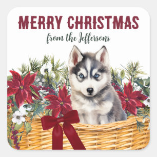 Poinsettia Siberian Husky Weihnachtskorb Quadratischer Aufkleber
