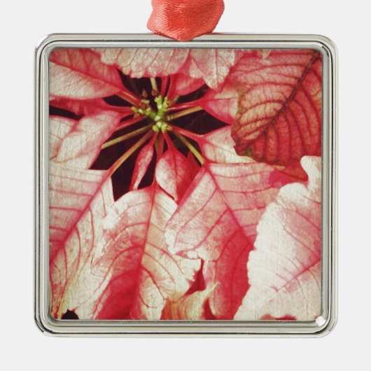 Poinsettia Silbernes Ornament (Vorne)