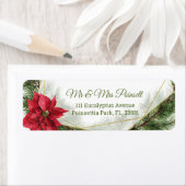 Poinsettia und Kiefer (Insitu)