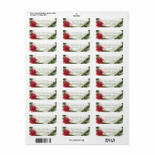 Poinsettia und Kiefer (Vorne)