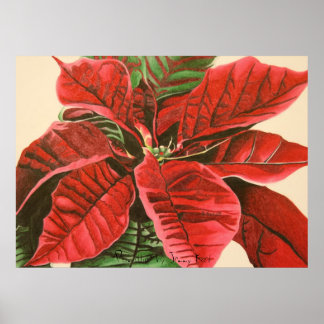 "Poinsettia" von Jenny Koch Poster