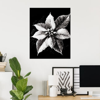 Poinsettia-Wandkunst Poster