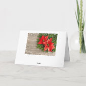 Poinsettia, Weihnachten im Dezember (Rückseite)