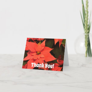 Poinsettia Weihnachten Vielen Dank Noten Blank Inn Dankeskarte