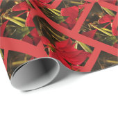Poinsettia Weihnachtsfeiertag Geschenkpapier (Rolleneckpunkt)