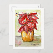 Poinsettia Weihnachtskarte Feiertagspostkarte (Vorne/Hinten)