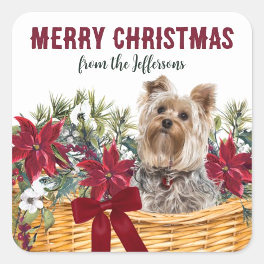Poinsettia Yorkshire Terrier Weihnachtskorb Quadratischer Aufkleber (Vorderseite)
