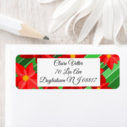 Poinsettias (Insitu)