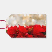 Poinsettias Geschenkanhänger (Rückseite Horizontal)