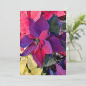 Poinsettias Magic Feiertagskarte (Stehend Vorderseite)