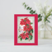 Poinsettias Postcard Postkarte (Stehend Vorderseite)