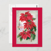 Poinsettias Postcard Postkarte (Vorne/Hinten)