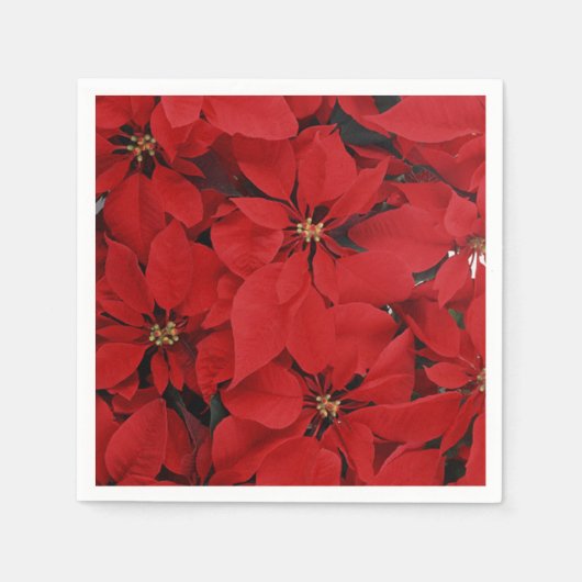 Poinsettias zu Weihnachten Serviette (Vorderseite)