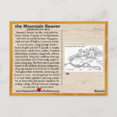 Point Arena Mountain Biber gefährdet - - - Postkarte (Rückseite)