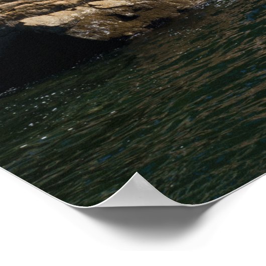 Point Atkinson Lighthouse Poster (Ecke)