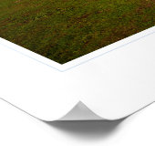 Point Cabrillo Lighthouse Poster (Ecke)