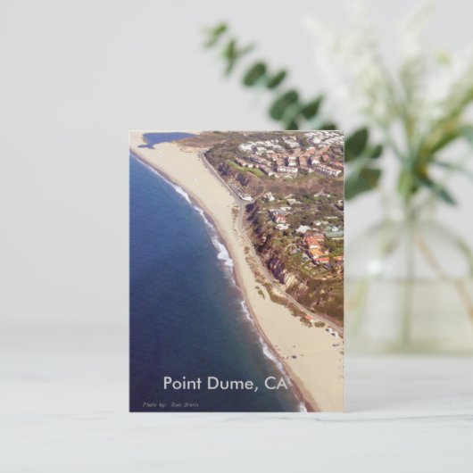 Point Dume, CA, Point Dume, CA Postkarte (Stehend Vorderseite)
